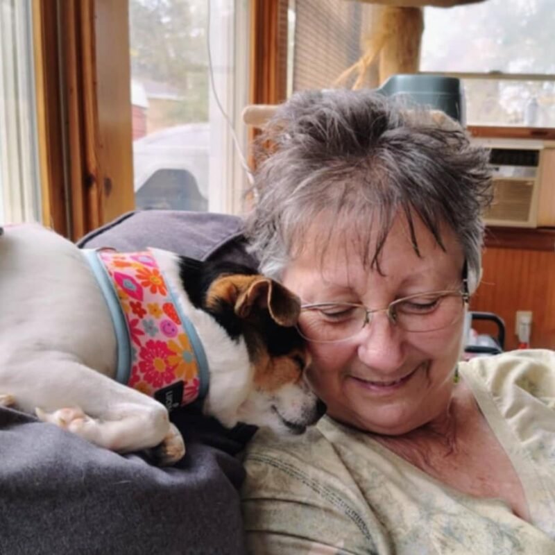 Doris Dare, Watercolor Artist White Rabbit Gallery, Travelers Rest